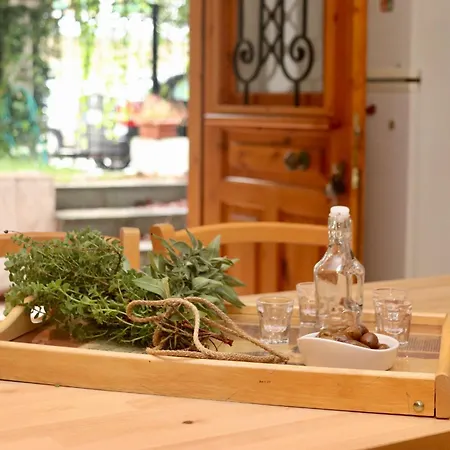 Tradiotional House Apartmán *