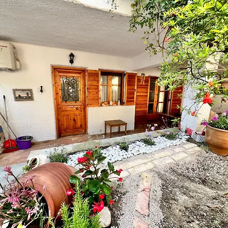 Tradiotional House