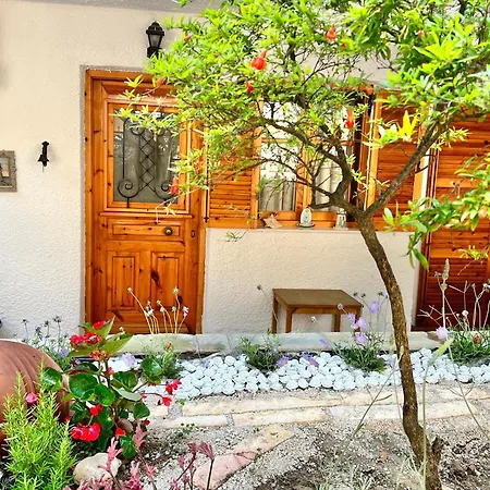 Tradiotional House Apartmán *