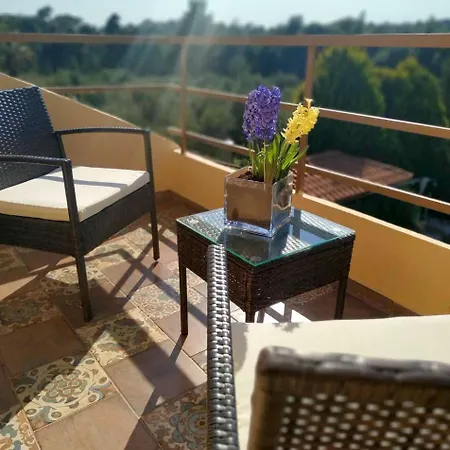 Tradiotional House *